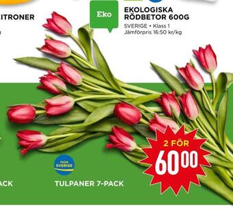 Willys Tulpaner 7-pack erbjuda