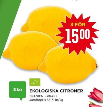 Willys Ekologiska citroner erbjuda