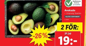Lidl Avokado erbjuda
