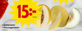 Matöppet Spanien Galiamelon, Honungsmelon erbjuda