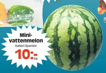 Götgatsbacken Mini- vattenmelon erbjuda