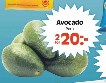 Avocado