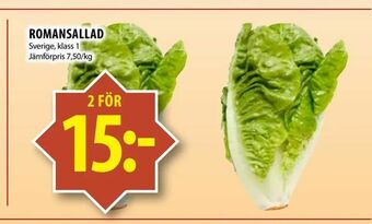 Matvärlden Tensta Romansallad erbjuda
