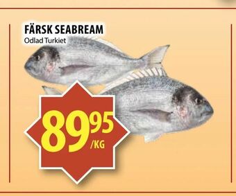 Matvärlden Tensta Färsk seabream erbjuda