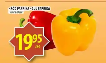Röd paprika • gul paprika