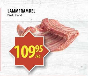 Matvärlden Tensta Lammframdel erbjuda