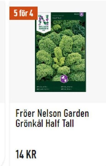 Granngården Fröer Nelson Garden Grönkål Half Tall erbjuda
