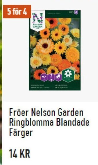 Granngården Fröer Nelson Garden Ringblomma Blandade Färger erbjuda