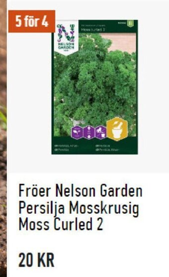 Granngården Fröer Nelson Garden Persilja Mosskrusig Moss Curled 2 erbjuda