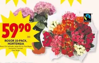 ICA Kvantum Rosor 10-pack, Hortensia erbjuda
