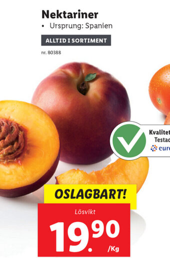 Lidl Nektariner erbjuda
