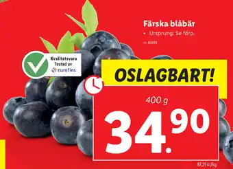 Lidl Färska blåbär 400g erbjuda
