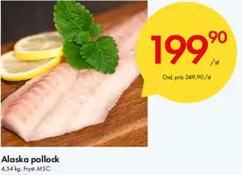 Snabbgross Alaska pollock 4,54kg erbjuda