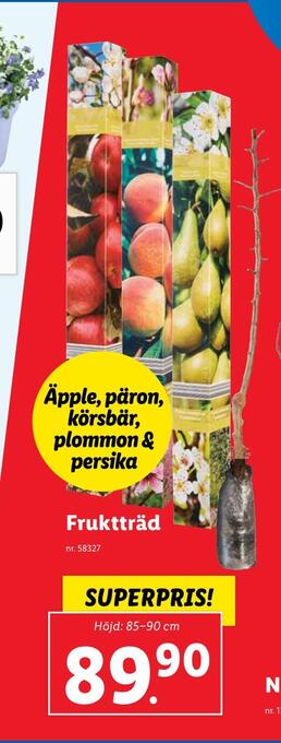 Lidl Fruktträd erbjuda