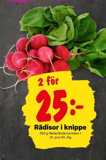 City Gross Rädisor i knippe erbjuda