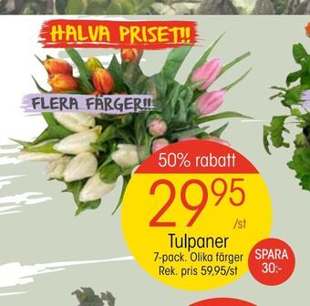 EKO Tulpaner erbjuda