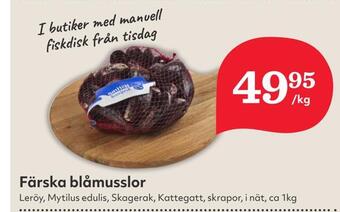 Hemköp Färska blåmusslor erbjuda