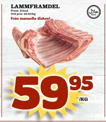 Supergrossen Lammframdel erbjuda