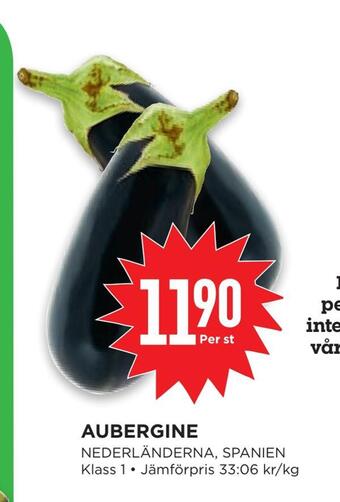 Aubergine