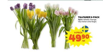 Stora Coop Tulpaner 9-pack erbjuda
