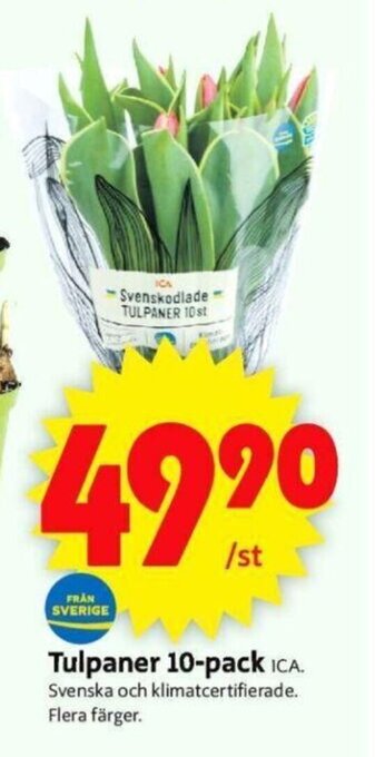 ICA Supermarket Tulpaner 10-Pack erbjuda