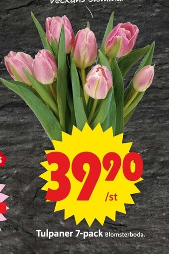 ICA Supermarket Tulpaner 7-pack erbjuda