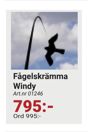 Erlandsons Brygga Fågelskrämma windy erbjuda
