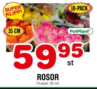 Nya Pulsen Rosor erbjuda