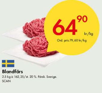 Snabbgross Blandfärs erbjuda