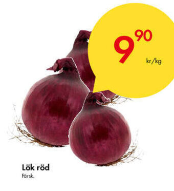 Snabbgross Lök Röd erbjuda