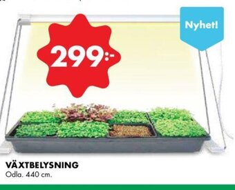 ÖoB Växtbelysning erbjuda