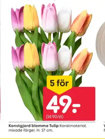 Rusta Dynor blommor erbjuda