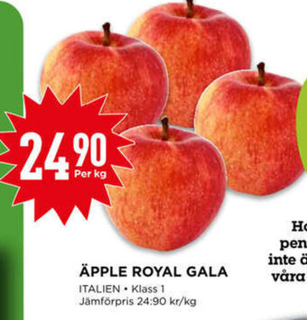 Willys Hemma Äpple Royal Gala erbjuda