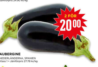 Aubergine