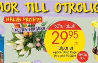 EKO Eko blommor erbjuda