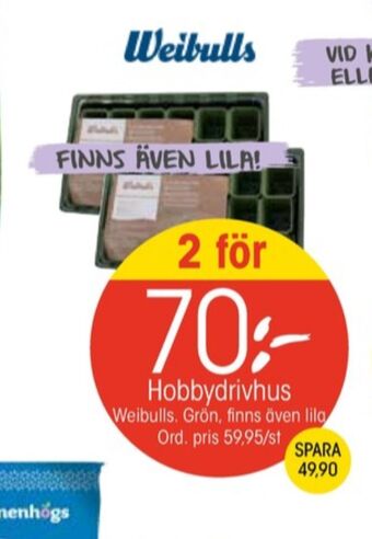 EKO Weibull minidrivhus erbjuda