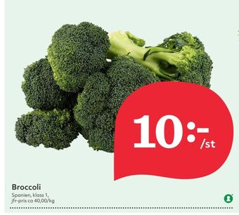 Garant broccoli