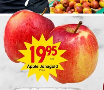 Matöppet Äpple jonagold erbjuda