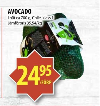 Avocado