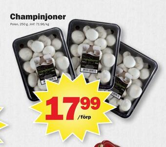 Pekås Champinjoner erbjuda