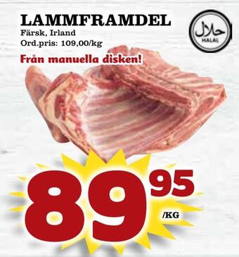 Supergrossen Lammframdel erbjuda