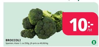 Tempo Broccoli erbjuda