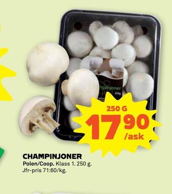 Stora Coop Champinjoner erbjuda