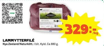 Stora Coop Lammytterfilé erbjuda