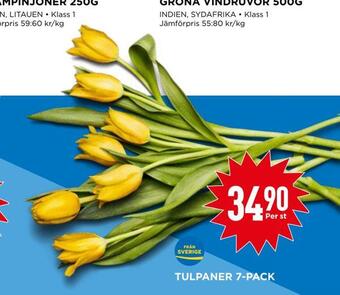 Willys Tulpaner 7-pack erbjuda