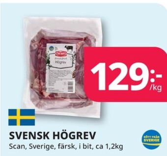 Tempo Scan högrev erbjuda