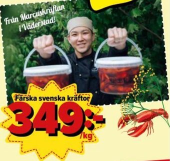 Östenssons Färska svenska kräftor erbjuda