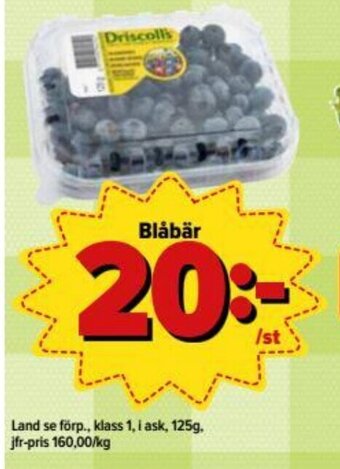 Östenssons Land se förp Blåbär 125g erbjuda