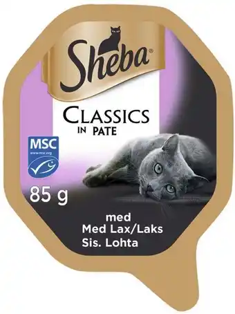 Kattmat paté lax