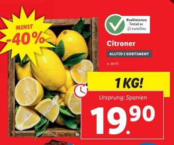 Citroner